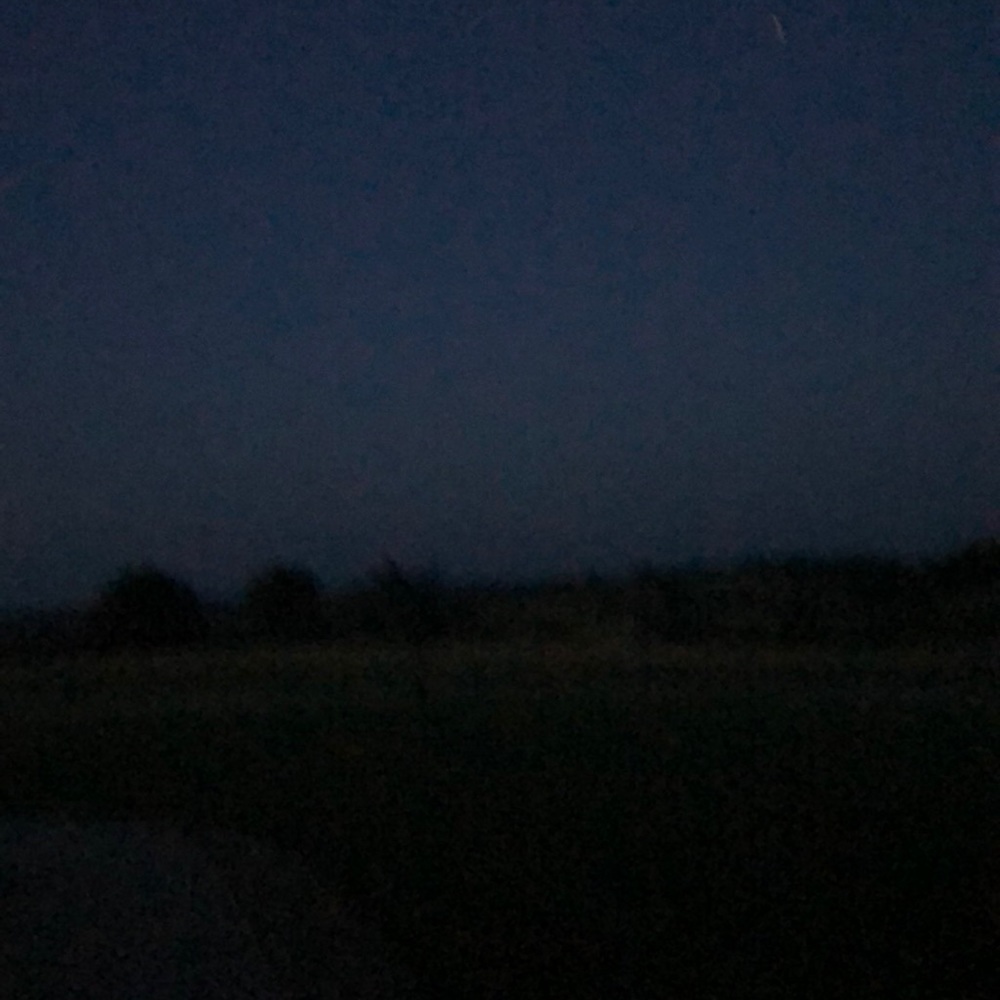 Meet your Posher, Joni